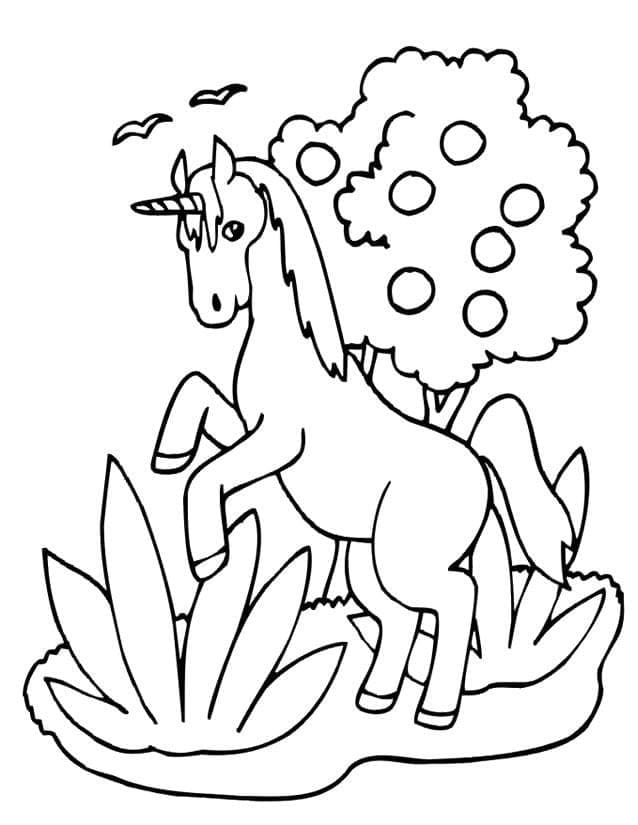 Einhorn Zum Drucken ausmalbilder