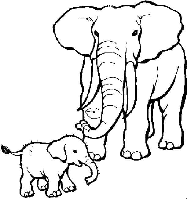 Elefant Druckbares Bild ausmalbilder