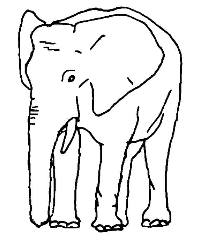 Elefant Für 6-Jährige Kinder ausmalbilder