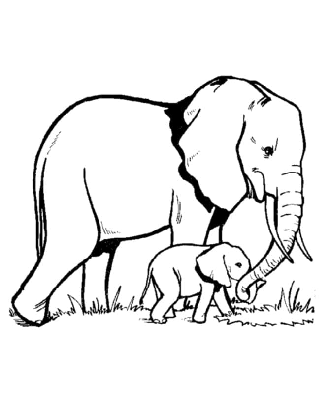 Elefant Kostenlos Für Kinder ausmalbilder
