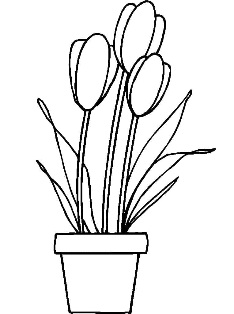 Erstaunlicher Blumentopf ausmalbilder