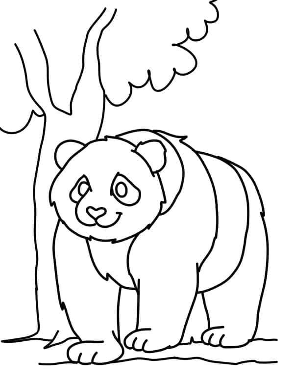 Erstaunlicher Panda ausmalbilder