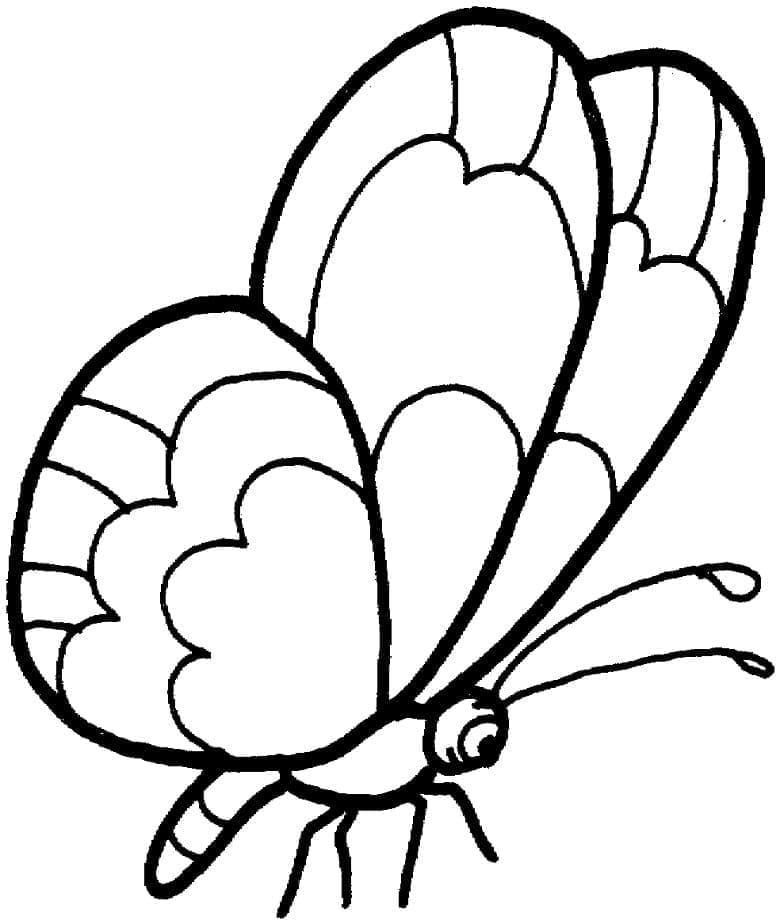 Fliegender Schmetterling ausmalbilder