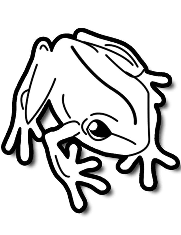 Frosch Für 3-Jährige Kinder ausmalbilder