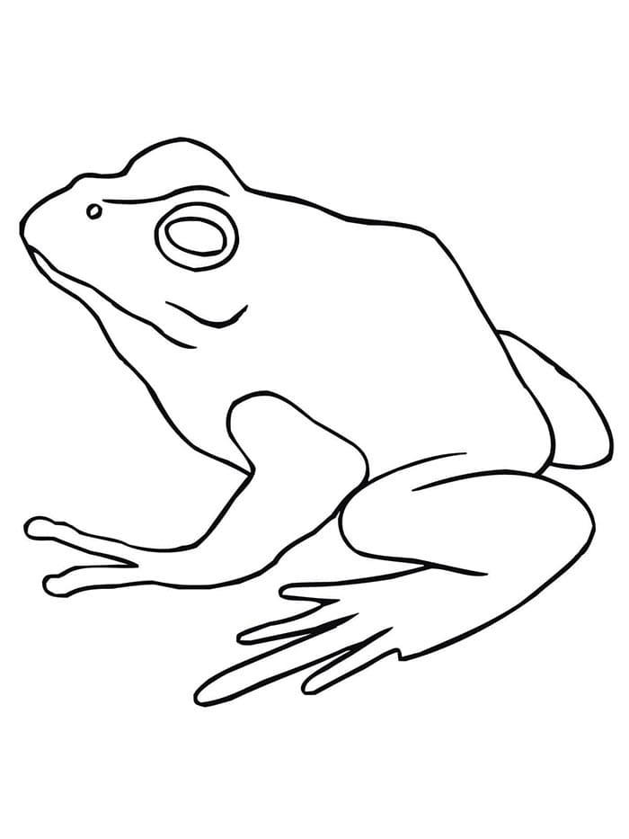 Frosch Kostenlos ausmalbilder