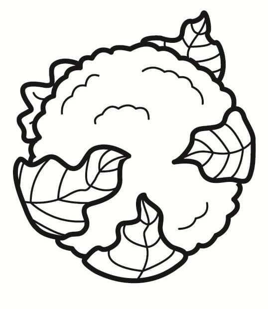 Blumenkohl ausmalbilder