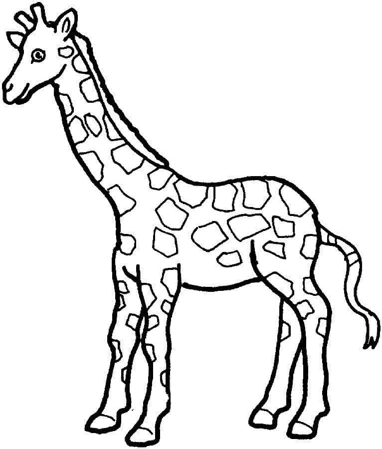 Giraffe Druckbares Bild ausmalbilder