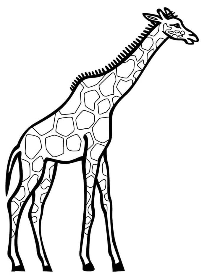 Giraffe Für 2-Jährige Kinder ausmalbilder