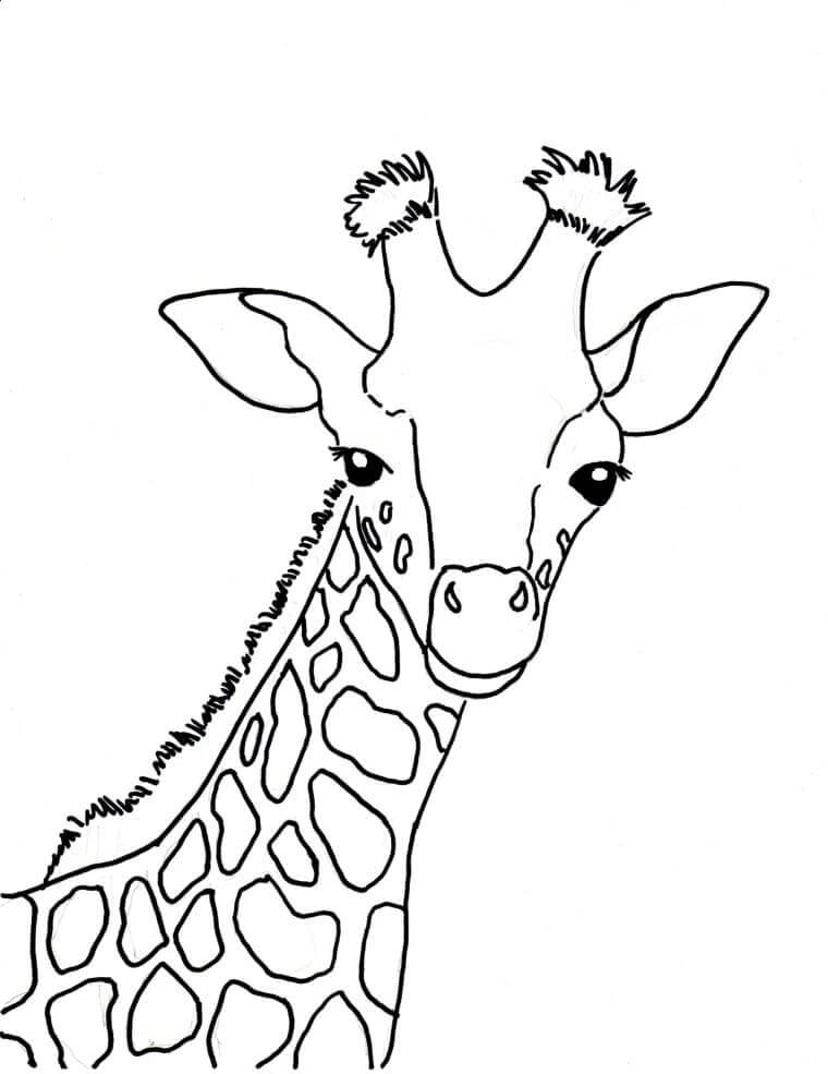 Giraffe Für Kinder Gratis ausmalbilder