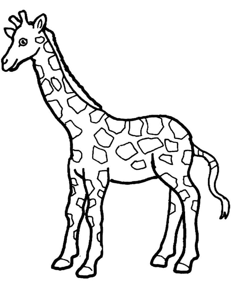 Giraffe Für Kinder ausmalbilder