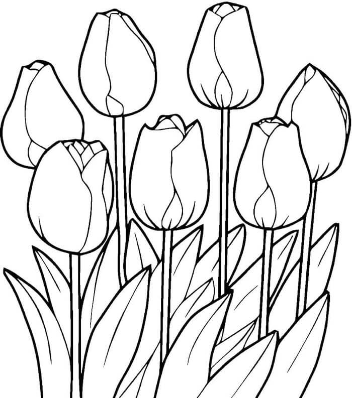 Gratis druckbare Tulpe ausmalbilder