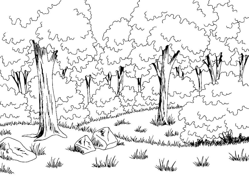 Gratis druckbarer Landschaft ausmalbilder