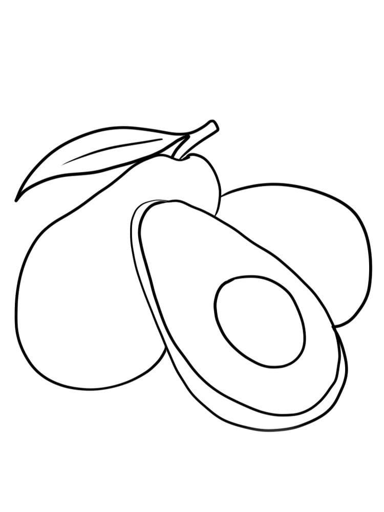 Gratis druckbares Avocado Exemplar ausmalbilder