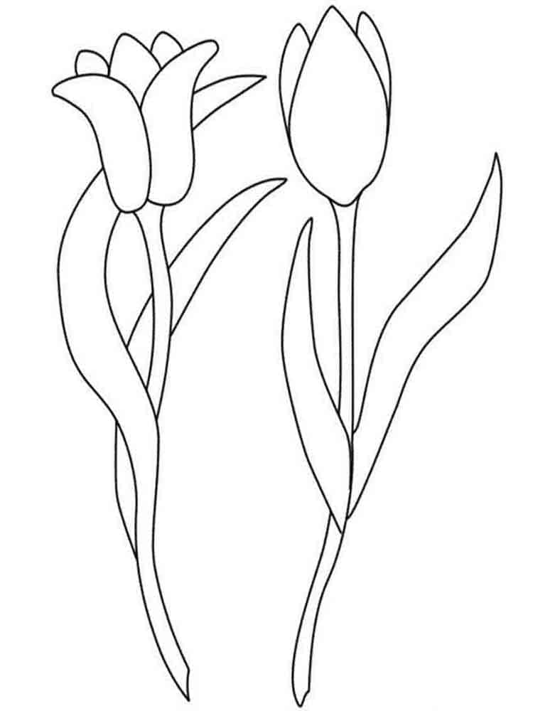 Großartige Tulpe ausmalbilder