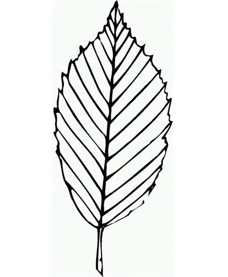 Großartiges Blatt ausmalbilder