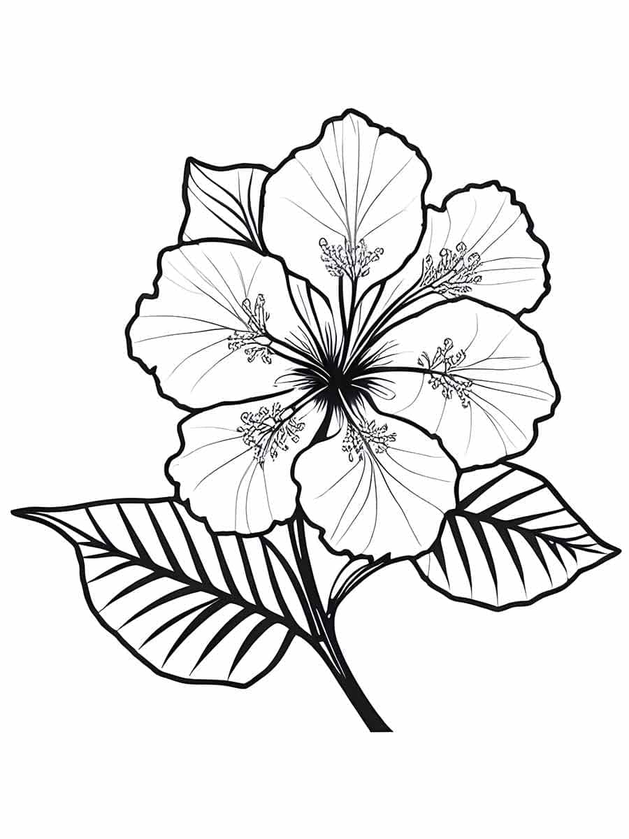 Grundlegende Blume ausmalbilder