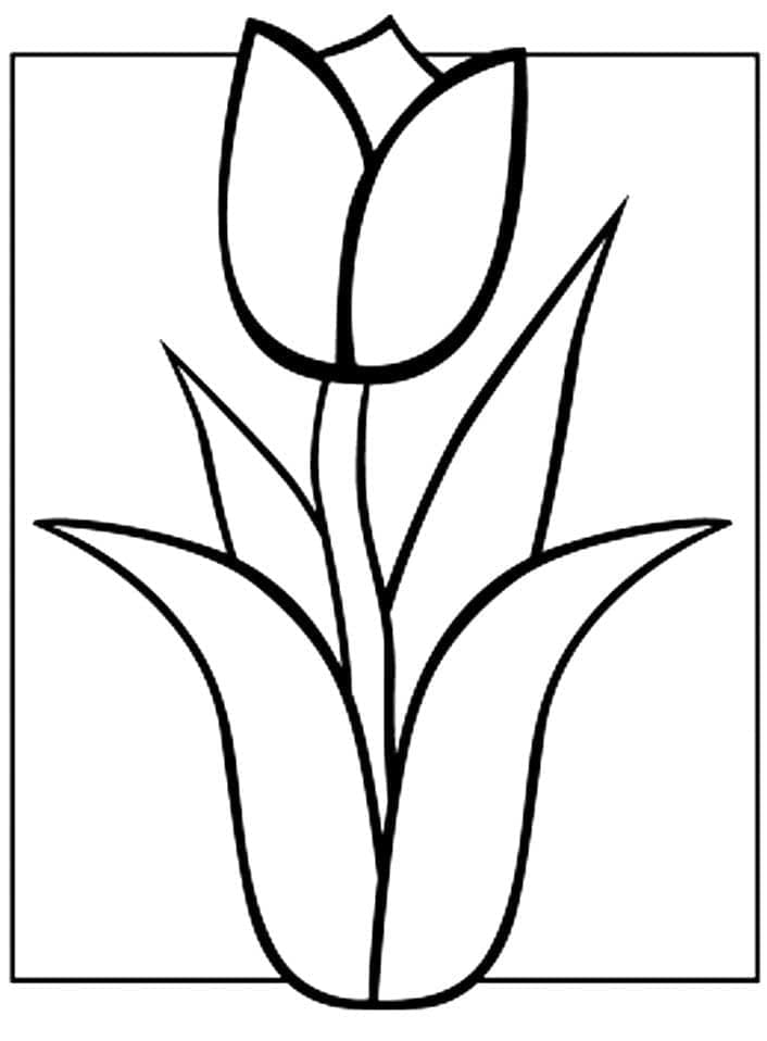 Grundlegende Tulpe ausmalbilder