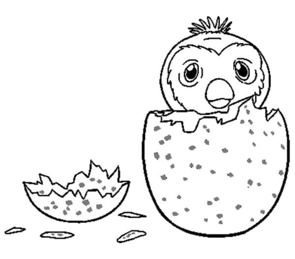 Hatchimals Druckbar Frei ausmalbilder