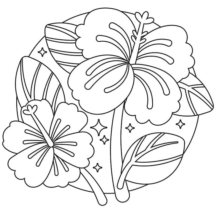 Hibiskus druckfertig ausmalbilder