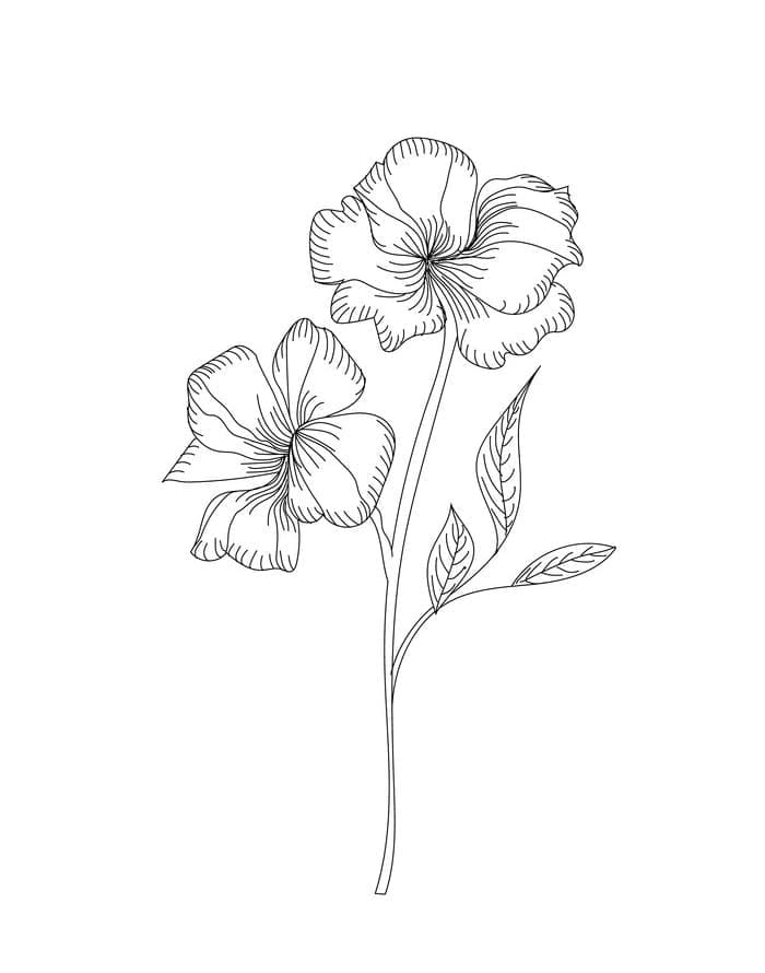 Hibiskus kostenlos ausmalbilder