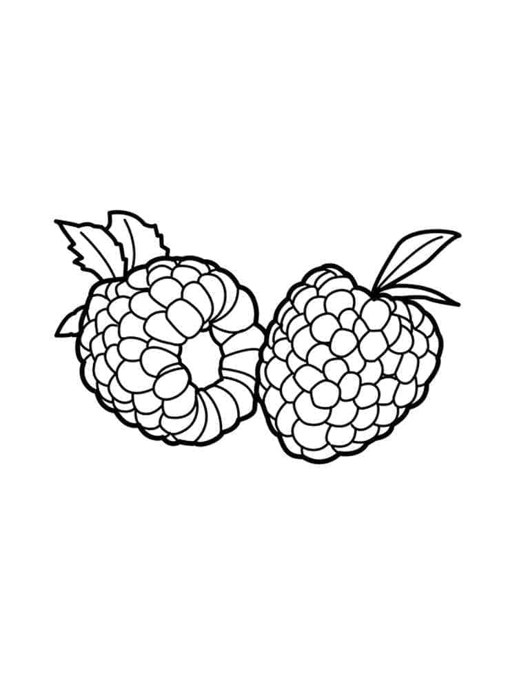 Himbeere Frucht ausmalbilder