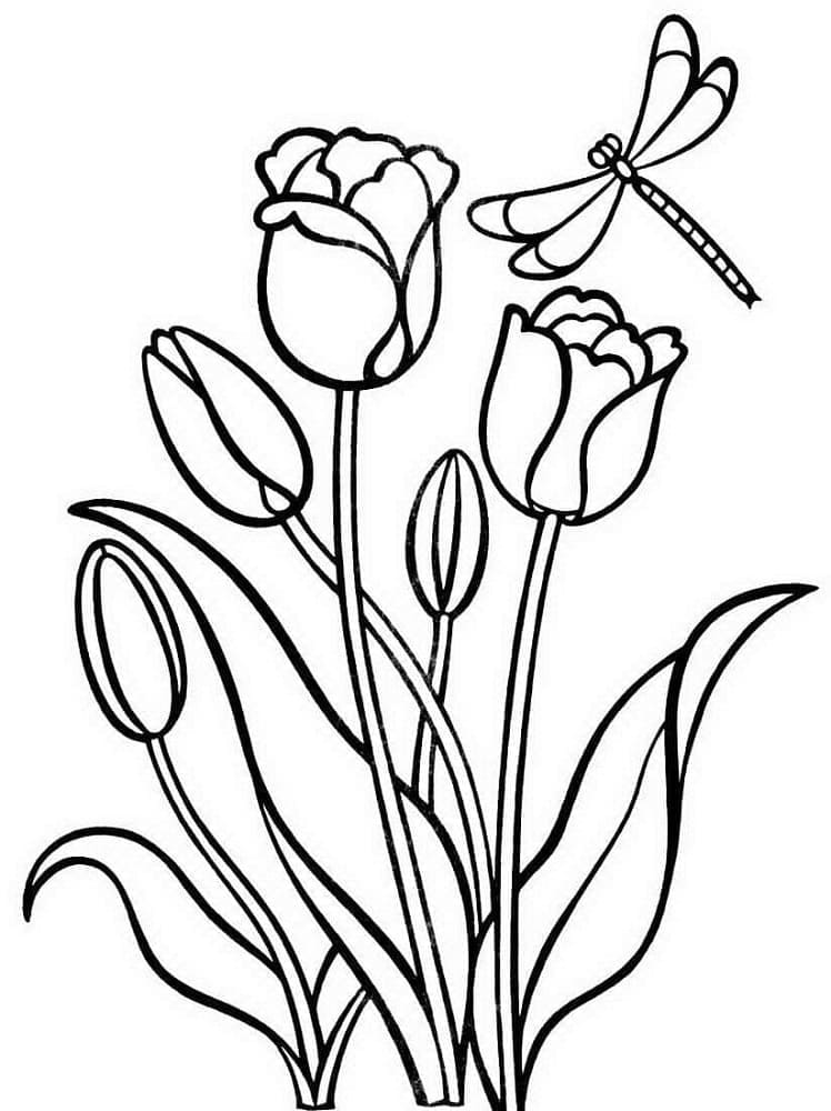 Hübsche Tulpe ausmalbilder