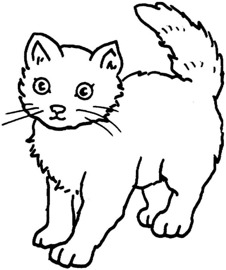 Katze Für 1-Jährige Kinder ausmalbilder