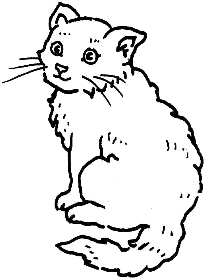 Katze Kostenlos Druckbar ausmalbilder
