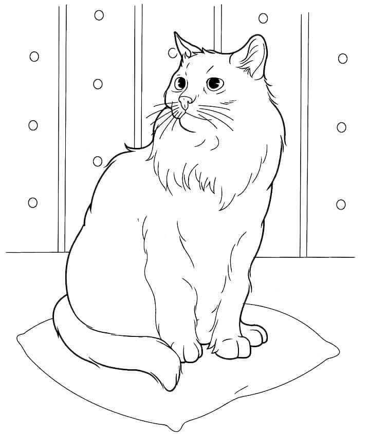 Katze Kostenlos Zum Drucken ausmalbilder