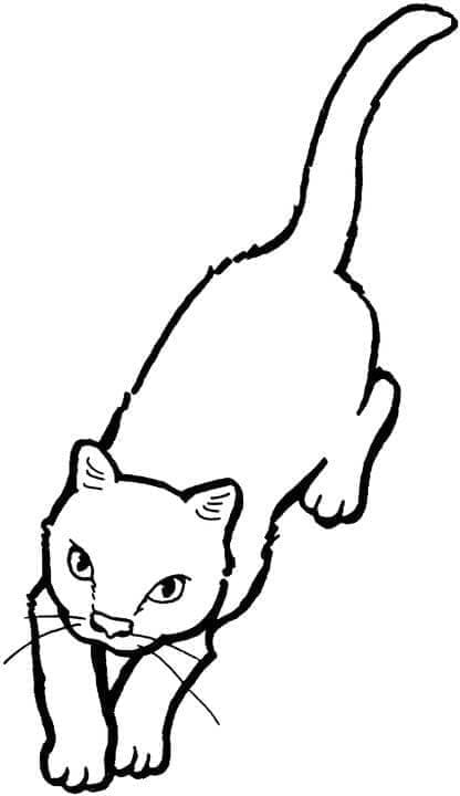 Katze Kostenlos ausmalbilder