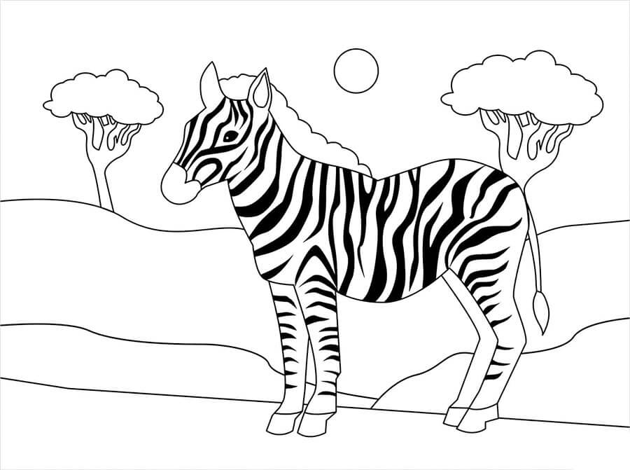 Kostenlos Druckbares Zebra ausmalbilder