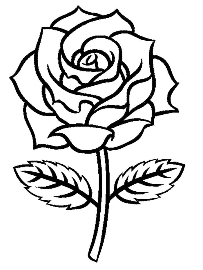 Kostenlos druckbare Rose ausmalbilder