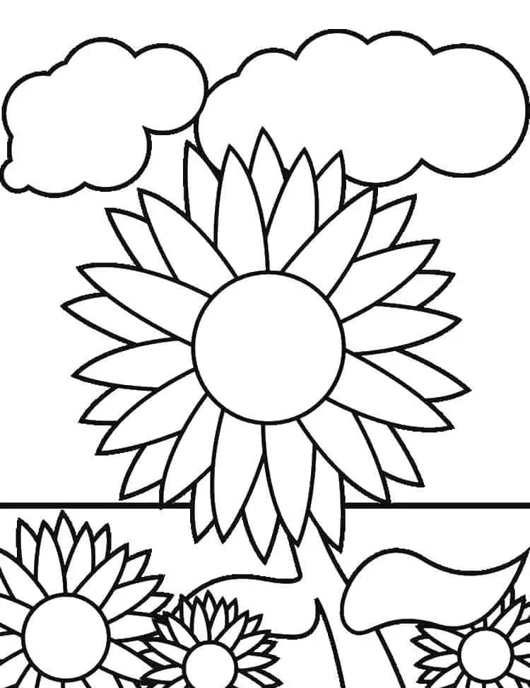 Kostenlos druckbare Sonnenblume ausmalbilder