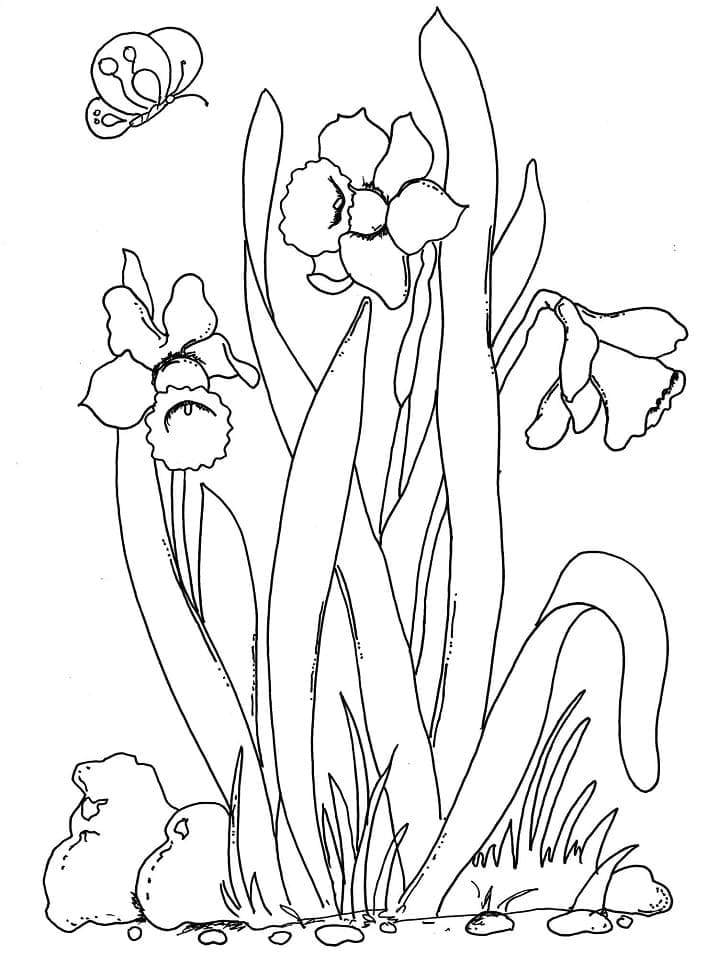 Kostenlos druckbarer Frühling ausmalbilder