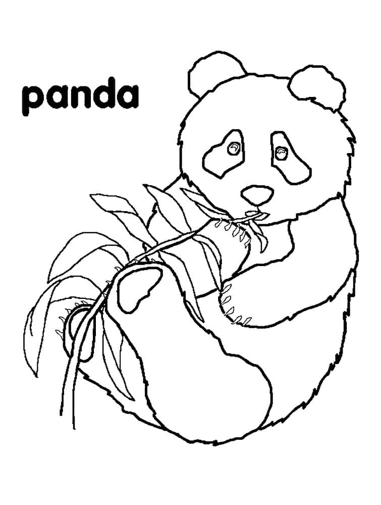 Kostenlos druckbarer Panda ausmalbilder
