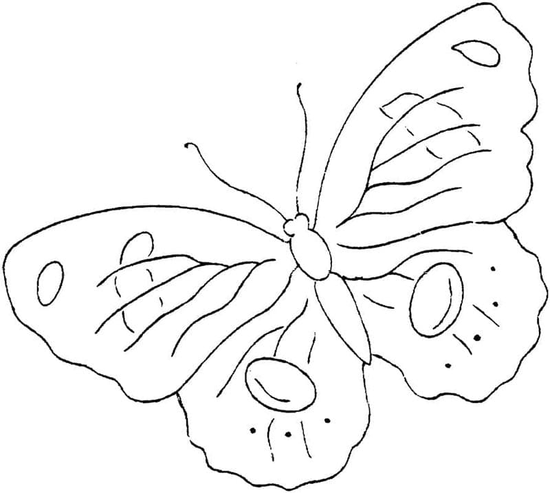 Kostenlos druckbarer Schmetterling ausmalbilder