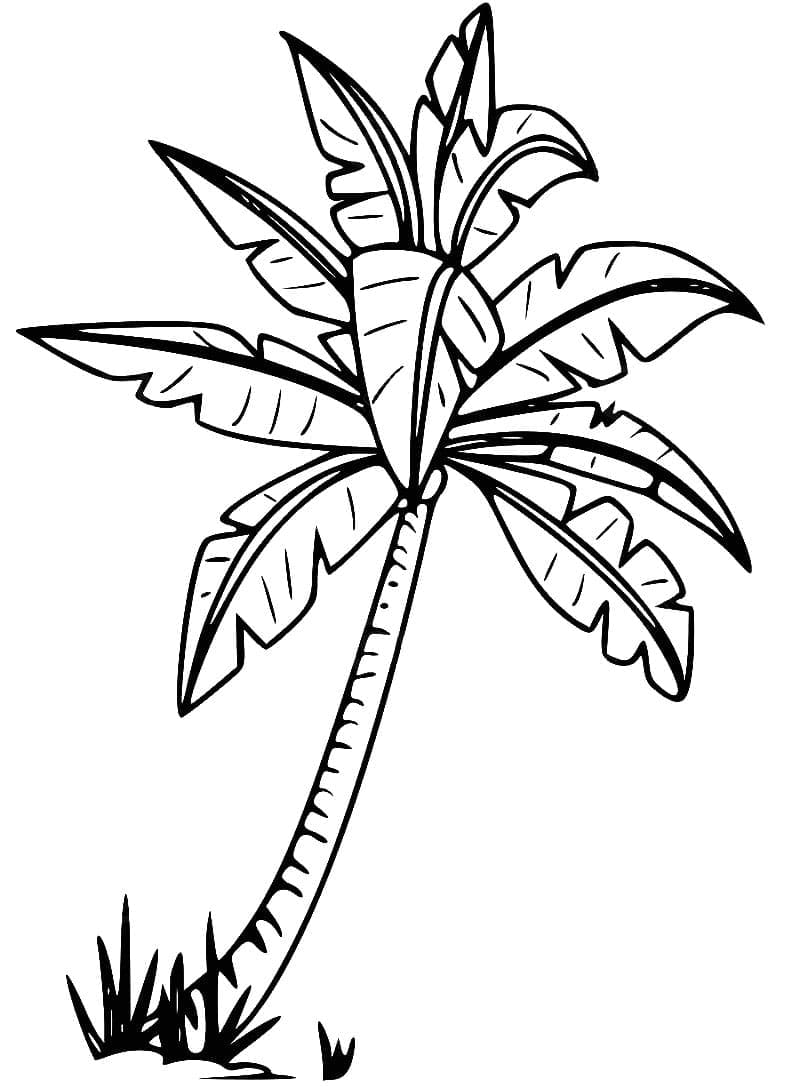 Kostenlose Palme zum Ausdrucken ausmalbilder