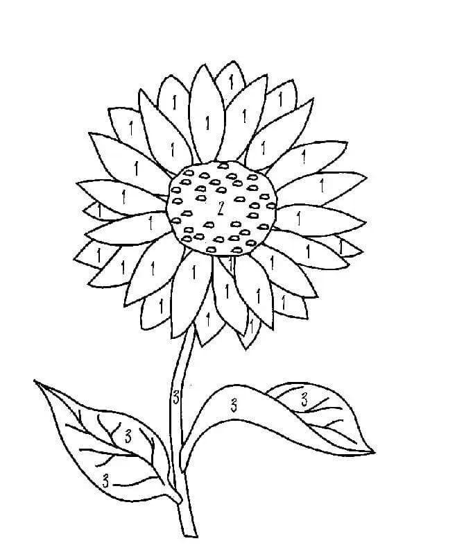 Kostenlose Sonnenblume ausmalbilder