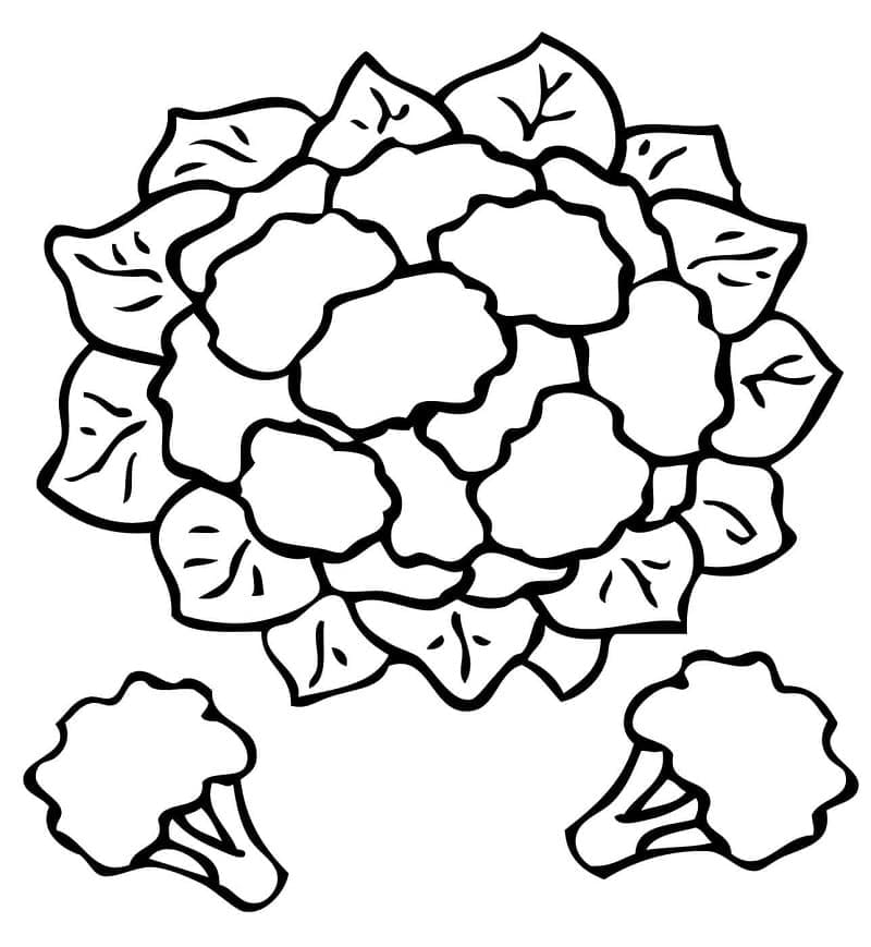 Kostenloser Blumenkohl Druck ausmalbilder