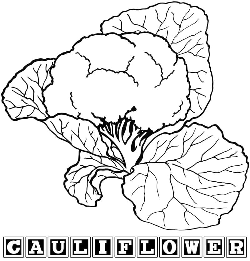 Kostenloser Blumenkohl ausmalbilder