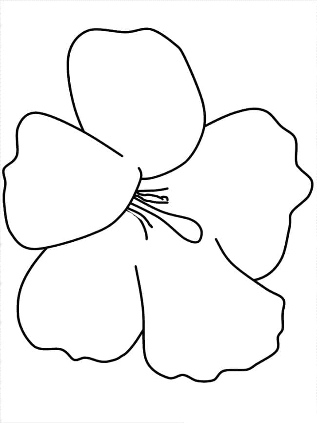 Kostenloser Hibiskus ausmalbilder