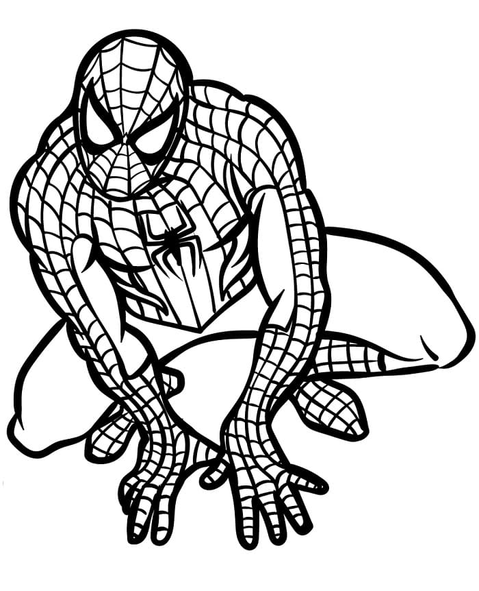 Kostenloser Spiderman ausmalbilder