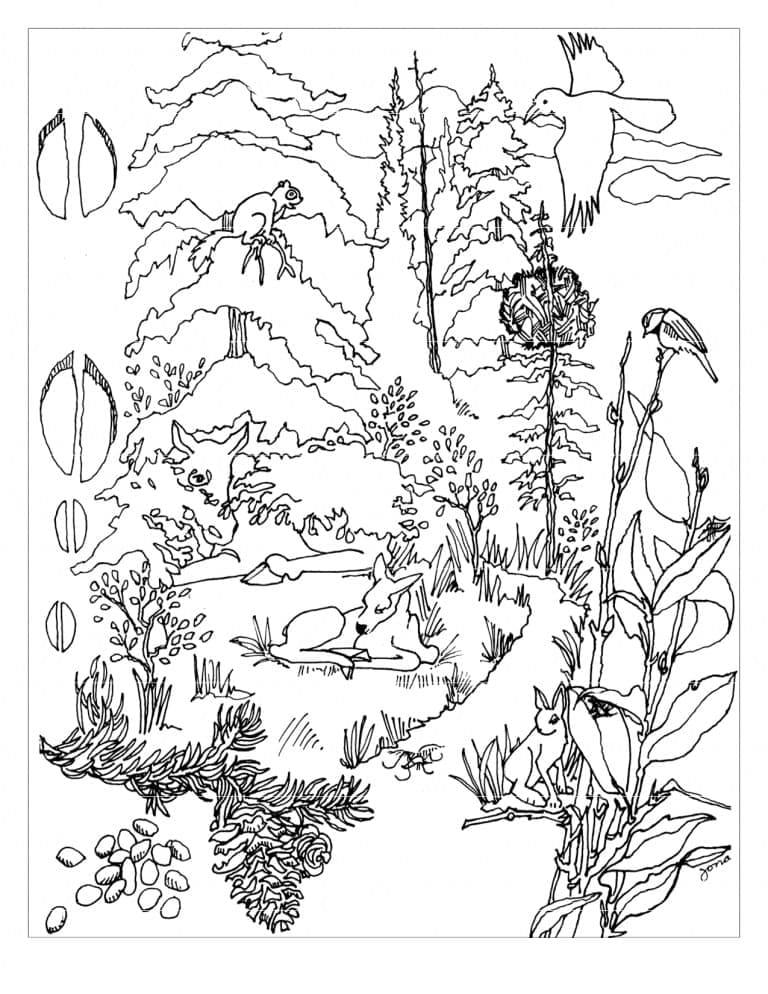 Kostenloser Wald ausmalbilder