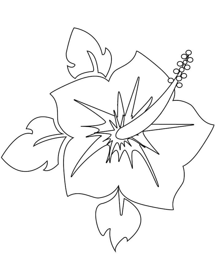 Kostenloses Hibiskusbild ausmalbilder