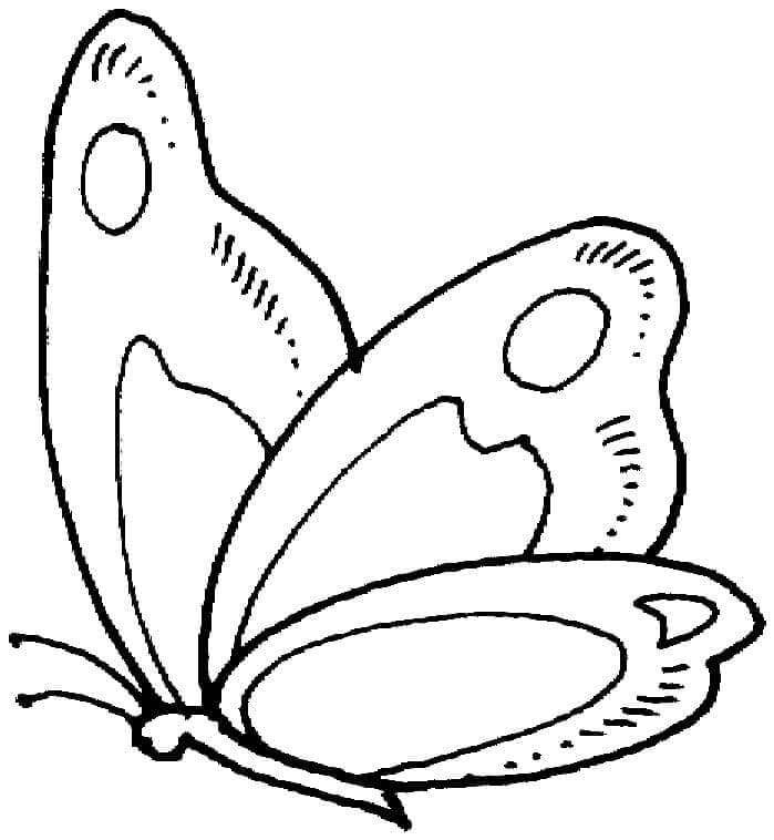 Kostenloses Schmetterling Bild ausmalbilder
