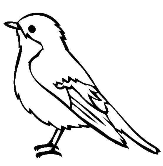 Kostenloses Vogel Bild ausmalbilder