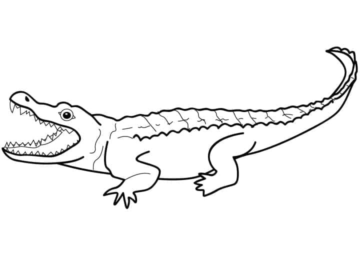 Krokodil Für Kinder ausmalbilder