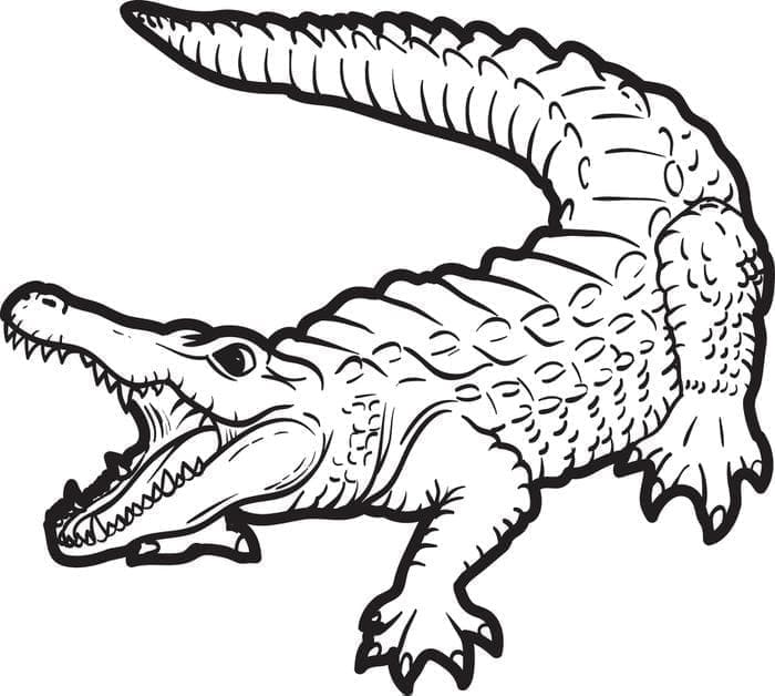 Krokodil Kostenlos ausmalbilder