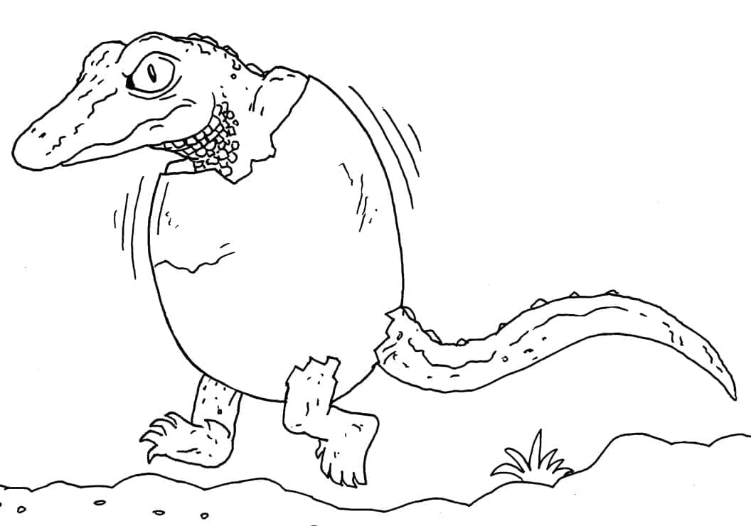 Krokodil Kostenloses Bild ausmalbilder