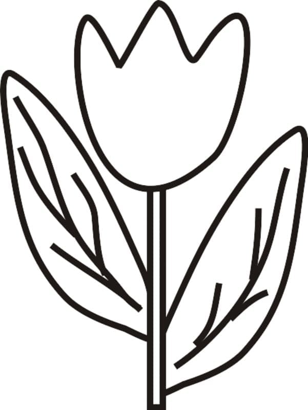 Leichte Tulpe ausmalbilder